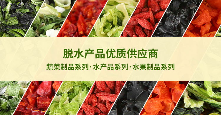 2024年3月实施的标准